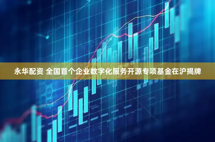 永华配资 全国首个企业数字化服务开源专项基金在沪揭牌